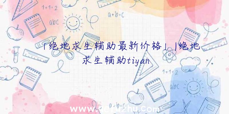 「绝地求生辅助最新价格」|绝地求生辅助tiyan